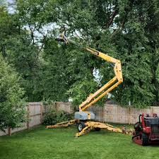 Landscape Design and Installation in Port Chester, NY